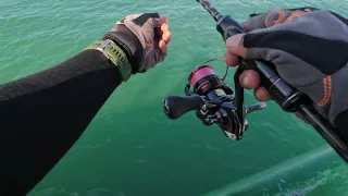 Bedok Jetty Fishing (Modern Ajing) 22/01/2024