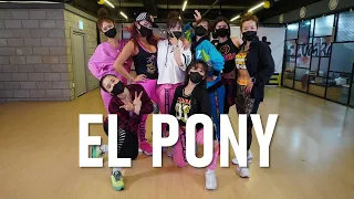 일산줌바 [ILOVEDANCE] ZUMBA  /  EL PONY  /  Daddy Yankee  / CINDY