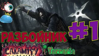 Разбойник. Начало. Террария каламити мод #1