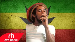 420 Reggae Mix Reggae for Ganja Lovers DJ Marl , Ganja  Reggae Song 420​  mix /RH EXCLUSIVE