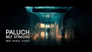 Paluch "Bez Strachu" prod. SoDrumatic cuty Dj Taek (New Music Video)