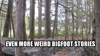 'Even More Weird Bigfoot Stories' | Paranormal Stories