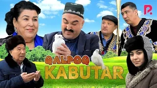 Qalpoq - Kabutar | Калпок - Кабутар (hajviy ko'rsatuv)