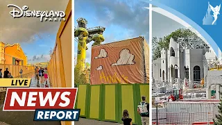 📣 Disneyland Paris Live NEWS Report | 19 May 2024