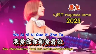 黑龙 - 我爱你你却爱着他 - (Dj阿宇 ProgHouse Remix 2023) - Wo Ai Ni Ni Que Ai Zhe Ta #dj抖音版2023