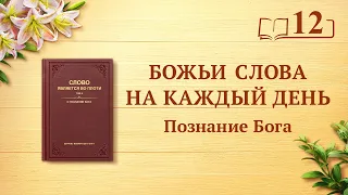 Божьи слова на каждый день: Познание Бога | Отрывок 12