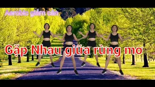 Gặp nhau giữa rừng mơ | Aerobic giảm cân.