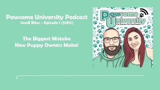 The Biggest Mistake New Puppy Owners Make! - Pawsome University Podcast - Small Bites