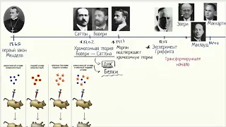 ДНК как трансформирующее начало (видео 1) | ДНК. Молекулярная генетика | Биология