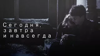 ┒сегодня, завтра и навсегда┖