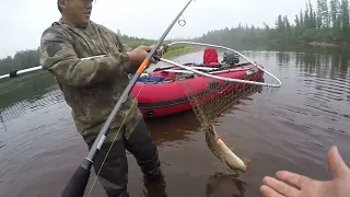 Низовья реки Вынгапур ! Не зря мы сюда ,так долго добирались!