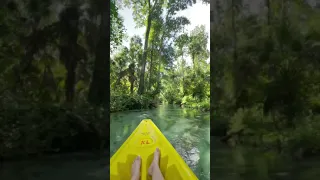 Kayaking the Emerald Cut - a perfect Summer day. Apopka, Florida 🇺🇸 IG: @thedomesticgypsy_ #shorts