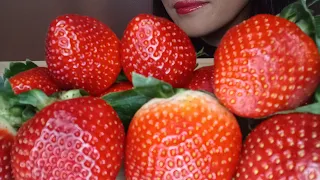 ASMR STRAWBERRY STRAWBERRIES EATING 딸기 먹방 MUKBANG