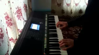 Рыжий клоун - на Yamaha psr s-950