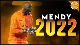 Edouard Mendy ● The Octopus ● Impossible Saves & Passes Show - 2021/22 (FHD)