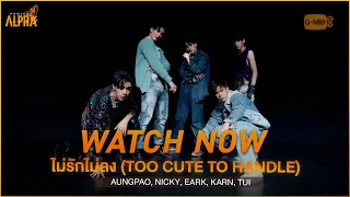 📌 WATCH NOW! ไม่รักไม่ลง (TOO CUTE TO HANDLE) - ผู้เข้าแข่งขัน Project Alpha | DANCE PERFORMANCE VDO