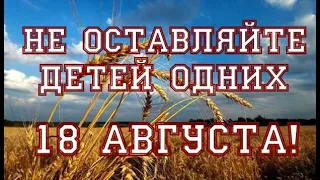 18 августа Евстигней Житник/Народные приметы/Как привлечь удачу на весь год/Что нельзя делать