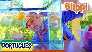 Afunda ou Flutua? V3 | Vídeos Educativos para Crianças | As Aventuras de Blippi