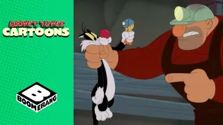 Looney Tunes | Hungry Sylvester  | Boomerang UK