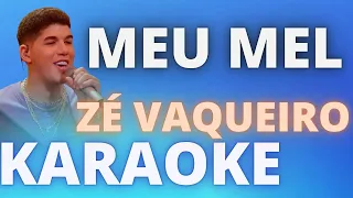 MEU MEL   ZÉ VAQUEIRO   KARAOKE COMPLETO LEGENDADO