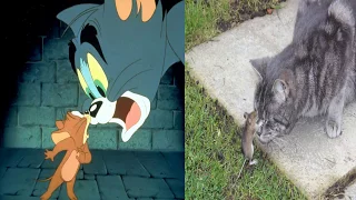 Tom And Jerry Characters In Real Life 2017