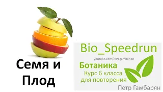8. Семя и плод (Speedrun ботаника 6 класс, ЕГЭ, ОГЭ 2021)