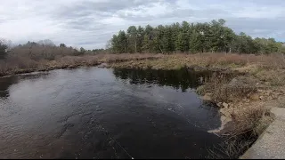 Remote river fishing for native trout!!