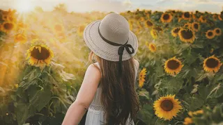 Sunflowers 🌻 - Beautiful and Relaxing Ambient & Piano Music, Summerfeelings ｜BigRicePiano