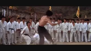 Bruce Lee -  🐲 The Last Dragon 🐉