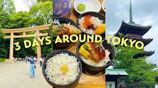 3 Days Around Tokyo Vlog | Asakusa, Ueno, Shibuya, Shinjuku, Kamakura