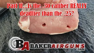 PART II...What's deadlier, a .25 or .30 caliber airgun?