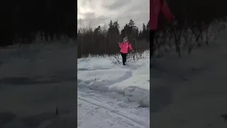 "Вежливые лоси" вернулись в Тольятти. Юный натуралист Бян-Кин-До.