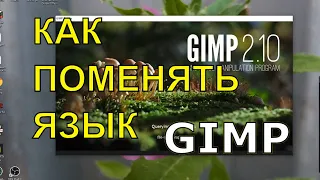 How to Change the Language in GIMP when the Language Doesn't Change or Problem with adding Russian