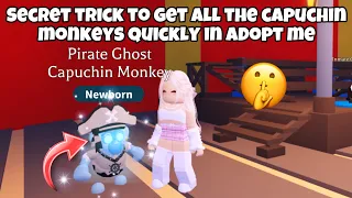 Secret trick to get all the capuchin monkeys quickly in adopt me 🤫