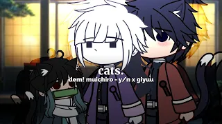 cats. | DEMON SLAYER | Dem! Muichiro - y/n x giyuu | AU