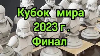 4) Лекция.    Кубок мира 2023г.              Финал