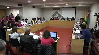 Ple Municipal del mes de març complet