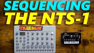 Sequencing the NTS-1 with the Model:Cycles