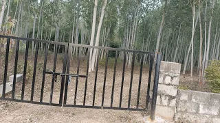 17 acre with  farm house with tubel connection for sale hoshiarpur Punjab 9316167007