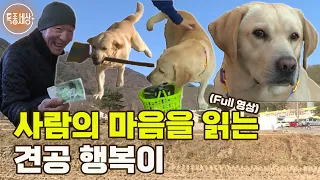 [특종세상] 라면 먹을 때 알아서 파를 가져오는 견공, 사람의 마음을 읽는 행복이 [Full영상]