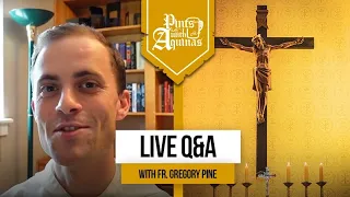 What is Original Sin? + Q&A w/ Fr. Gregory Pine, O.P.