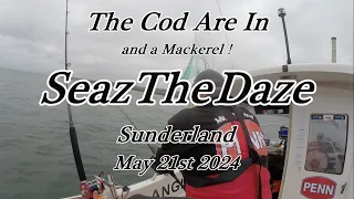 SeazTheDaze 21st May 2024   Codfest & A Mackerel !