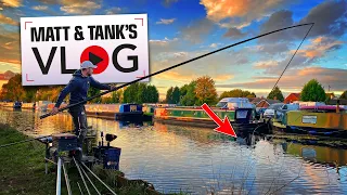 Catching GIANT Canal Fish | Matt and Tank VLOG #019