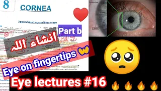 Eye lectures #16. #cornea #eye #keratitis. cornea transplant corneal reflex corneal ulcer topography