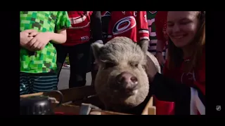 Carolina Hurricanes 2019 playoff run