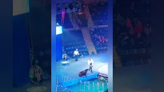 Запорожский цирк. Цирк на воде 🤹‍♂️часть 16
