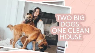 How I Maintain a Clean Home with 2 Dogs | Simply | Real Simple