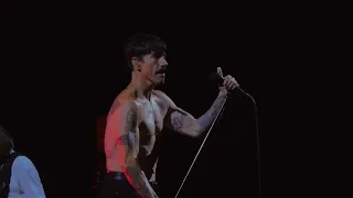 Red Hot Chili Peppers - Black Summer (Subtitulado al Español)