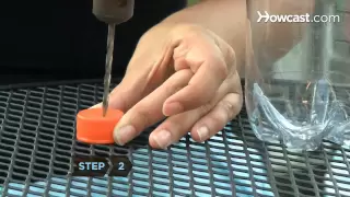How to Make a Hummingbird Feeder