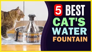 🔥 Best Water Fountain for Cats in 2022-2023 ☑️ TOP 5 ☑️